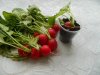 DSCN7673.JPG