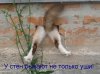 161592-125b4-48365559-m750x740-u5f847.jpg