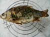 DSCN7823.JPG