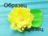образец.jpg
