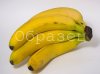 watermarked - 2.jpg