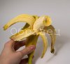 watermarked - 3.jpg