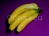 watermarked - 4.jpg