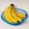 watermarked - 1.jpg