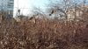 IMG_20150313_164636.jpg