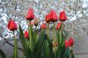 DSC_0051&nbsp;— копия.JPG