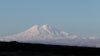 S1590001.JPG