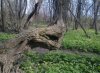 2017-04-17_151704.jpg