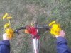 IMG_20170417_152356.jpg