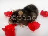 watermarked - DSC04130.jpg