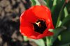 DSC_0233&nbsp;— копия.JPG