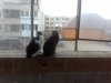 20170418_110834.jpg