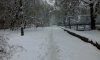 20170419_114251.jpg