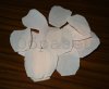 watermarked - 8.JPG