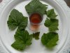 DSCN8544.JPG