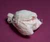watermarked - 29.JPG