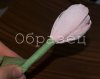 watermarked - 37.JPG