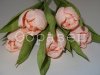 watermarked - 45.JPG