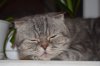 DSC_1110047.jpg