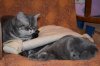 DSC_1110455.jpg