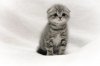 DSC_1119541.jpg