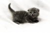 DSC_1119549.jpg
