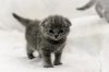 DSC_1119616.jpg