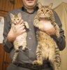 DSC05220.jpg