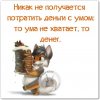 ума не хватает.jpg