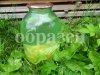 watermarked - SAM_4674.jpg