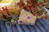 watermarked - 1.jpg