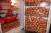 PAYEggs1.jpg