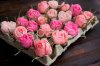 watermarked - 6.jpg