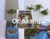 пальмы.jpg