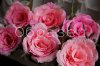 watermarked - 51.jpg