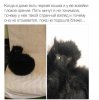 2017-09-11_221041.jpg