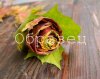 watermarked - 15.jpg