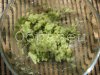 watermarked - 8.JPG