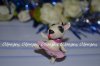 DSC_1341111.jpg