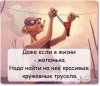 жопа.jpg